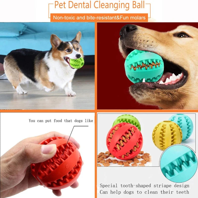 Pelota Multifuncional - Dental